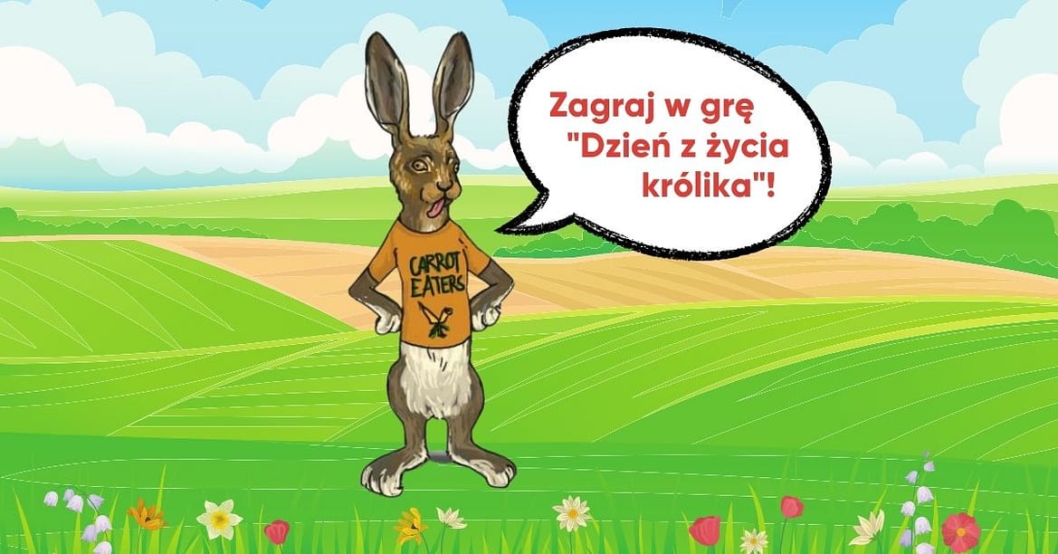 Plakat gry Dzień z życia królika