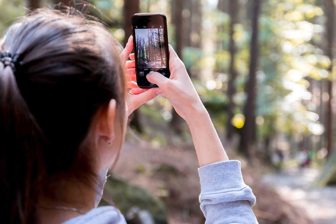 gry przyrodnicze telefon w dłoni na tle lasu